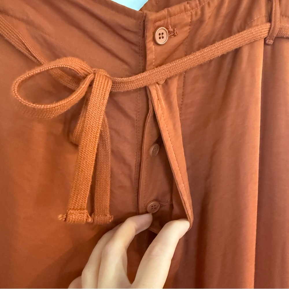 Tiny-Anthropologie - Heidi Tie Rust Drawstring High-Waist Pants - Picture 9 of 13